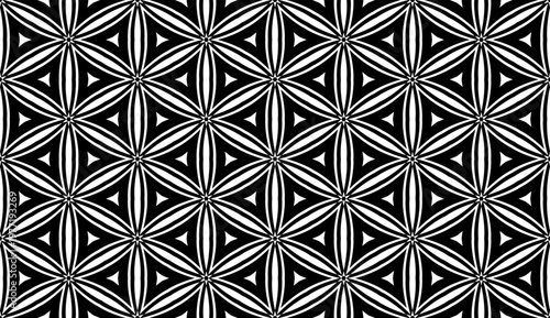 Abstract Seamless Geometric Hexagons and Triangles Floral Pattern. Black and ...