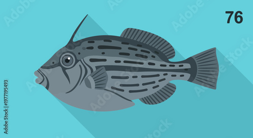 Illustration of a Gray Triggerfish with Stripes, Ocean Dweller