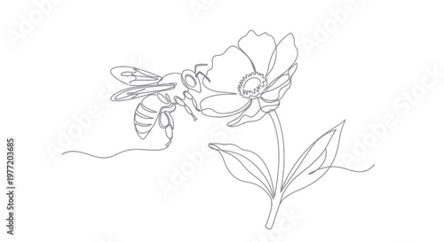 Continuous line drawing of a honey bee pollinating a blooming flower on white background.