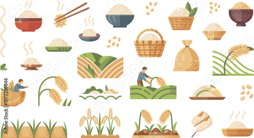 Rice farming process flat vector set with harvesting, planting, grain processing, agriculture tools, crops, and rural cultivation scenes