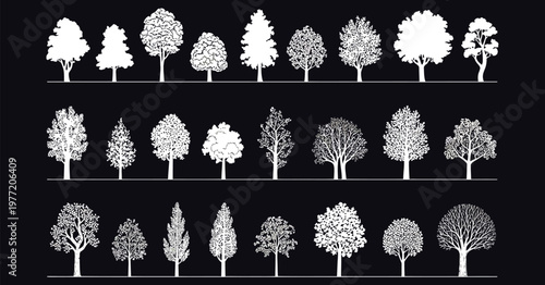 Architectural CAD tree white outline vector set with detailed forest tree collection, minimalist botanical line art, elevation style drawings and technical landscape illustration