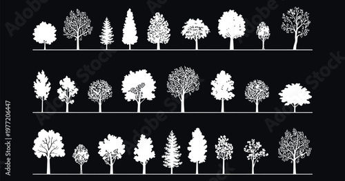 CAD tree white outline vector set with architectural elevation drawings, detailed forest tree collection, minimalist line art botanical design and technical landscape illustration on dark background
