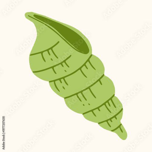 Green spiral conch seashell hand drawn vector illustration. Tropical summer beach element green spiral shell flat design isolated on white background