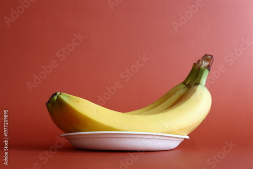 Two bananas in a disposable plate.