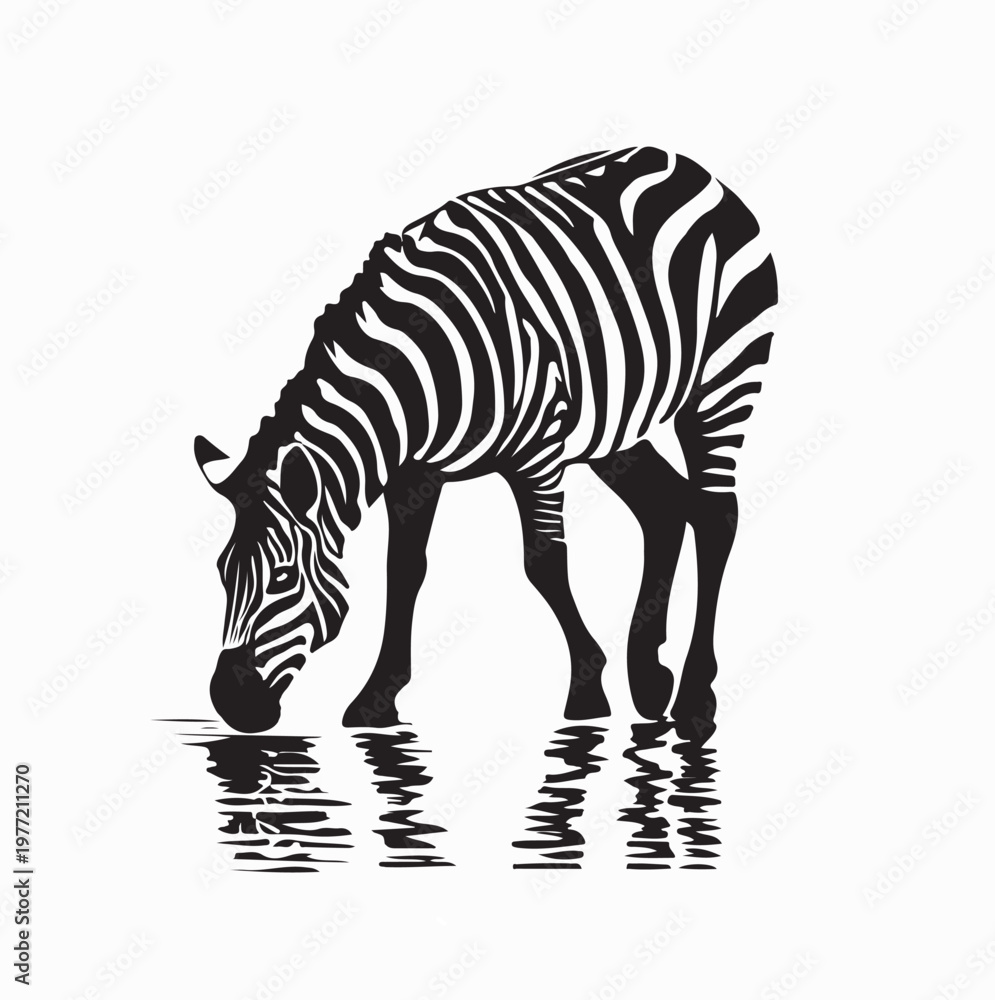 Obraz premium Zebra Drinking Water At Lake Silhouette Vector Illustration