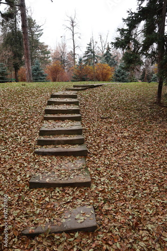 Autumn sketches in the city park.
