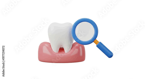 Vector illustration of 3d illustration of a tooth in the gum being examined by a magnifying glass on a transparent background