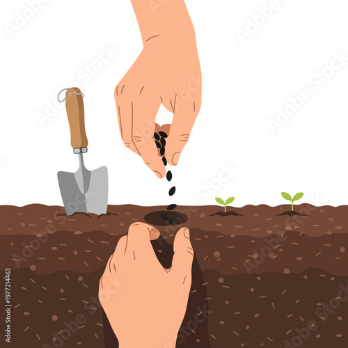 Gardening: Hands planting seeds and seedling sprouts in soil with trowel