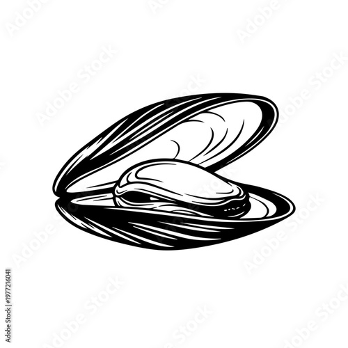 Engraved sketch of a single open mussel, showcasing the edible meat inside the bivalve seafood shell
