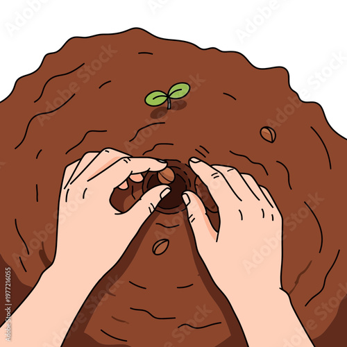 Hands Planting Seeds in Fertile Soil, New Growth Sprout