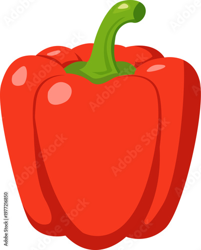 vector illustration of red pepper