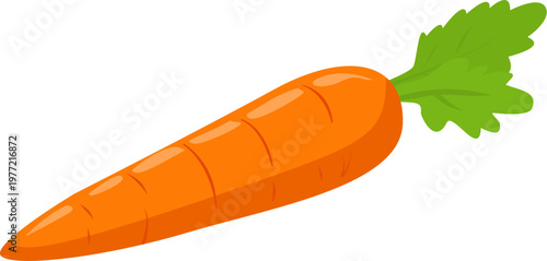 vector illustration of a carrot