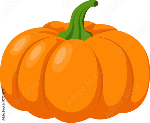 vector illustration of a pumpkin