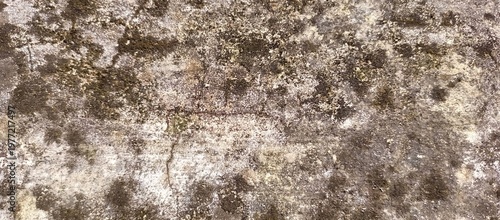 Old Mossy Concrete Wall Texture Background