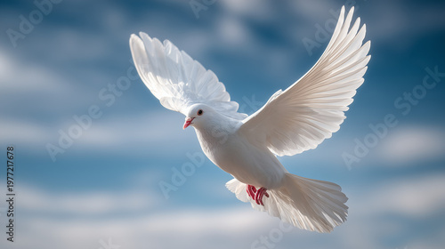 Dove in Flight: A serene white dove gracefully soars through a radiant sky, symbolizing peace and freedom. This captivating image speaks of hope and tranquility.