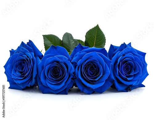 Four Vibrant Blue Roses with Green Leaves on White Background.