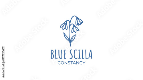 Minimalist Blue Scilla Flower Logo on White Background