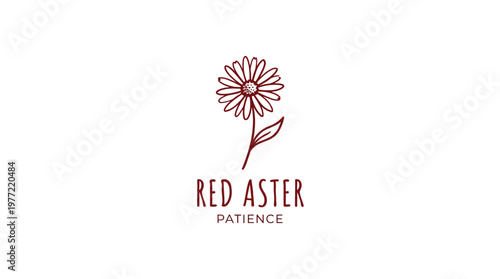 Red Aster Flower Logo with Text