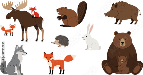 Woodland Forest Animal Vector Collection Featuring Moose Bear Fox Wolf Beaver and Wild Boar for Nature Education Children Graphic Design and Stickers