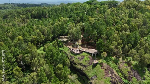 Beautiful tropical landscape of Dlingo hills and pine forest forest in Special Region of Yogyakarta.
