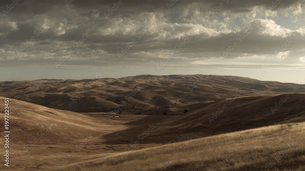 Fototapeta premium Golden rolling hills stretch to the horizon under a dramatic, cloud filled sky, warm brown grasses and open, tranquil fields evoking vast, peaceful rural solitude