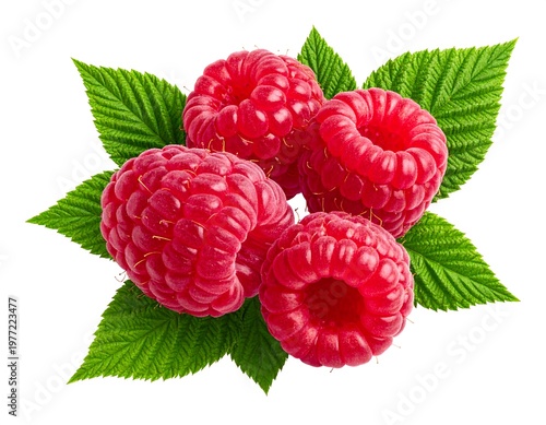 Fresh Ripe Raspberries with Green Leaves Isolated on White Background.