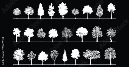 Tree silhouettes collection in white botanical elevation style on black background, monochrome forest trees in horizontal rows with deciduous and pine varieties for landscape architecture design