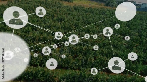 Animating network connections over agricultural field with trees
