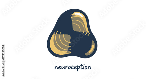 Brain, Neuroception, Mind, Psychology Vector Icon