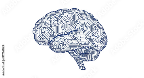 Brain Illustration with Detailed Folds.