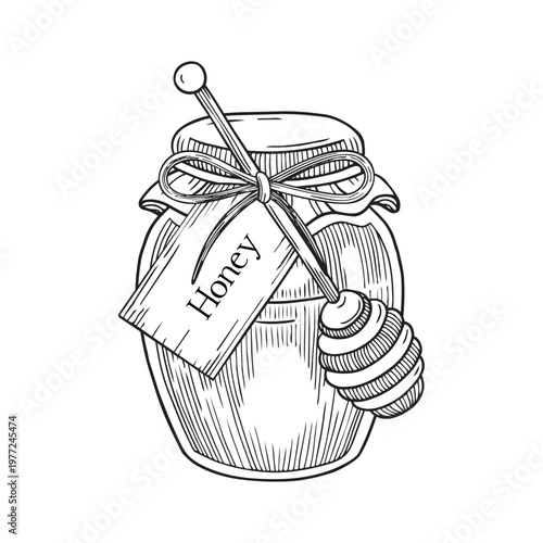 Hand-drawn graphic detailed illustration of jar of honey and honey dipper for ingredients, packaging, healthcare products