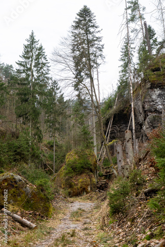 Wandern auf dem Bergpfad Weberschlüchte zur Webergrotte im Elbsandsteingebirge 6