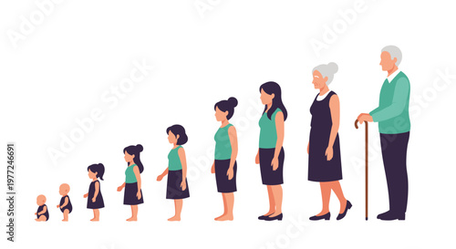 Aging process illustration showing the life cycle of a woman from a baby to an elderly person with a walking stick.