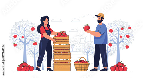 Man and woman working together in an apple orchard picking ripe red fruits and placing them into wooden crates and baskets.