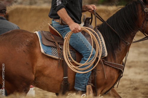Cowboy on a horse with a rope