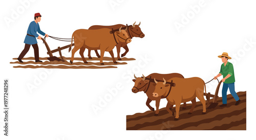 Farmers plowing fields with oxen a traditional agricultural scene
