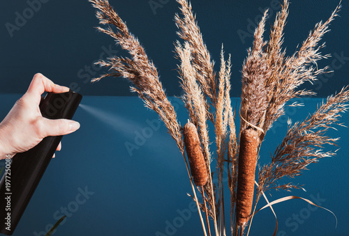 Foto Person hand using hairspray for preserving dried natural various grass plants in home vase