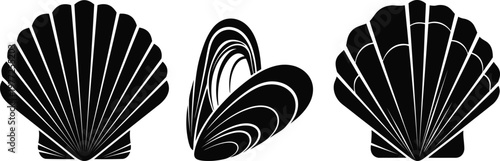 Set of black silhouettes of different sea shells isolated on white background