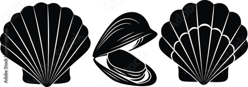 Set of black silhouettes of different seashells isolated on white background