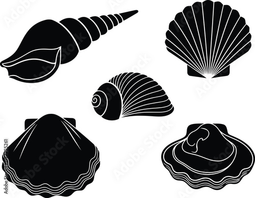 Set of various sea shells silhouettes isolated on white background