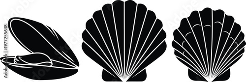 Set of black silhouettes of seashells isolated on white background