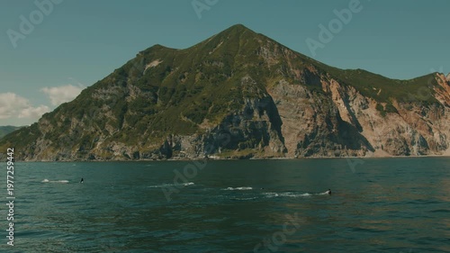 Pods of killer whales hunt for fish in coastal waters of bay and displaying their large sharp dorsal fins. Concept of animal life in natural environment