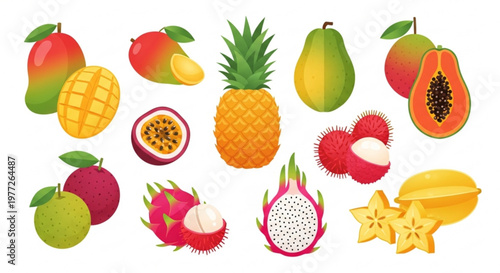 A colorful vector illustration of various exotic fruits on a white background
