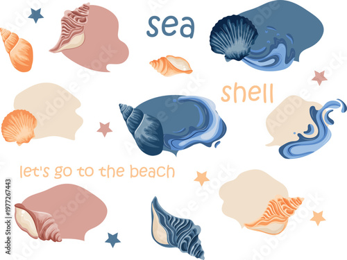 set of icons of various sea shells and shells and abstract colored spots of different shapes and colors, for thematic backgrounds, stickers or social networks