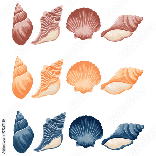 set of icons of various sea shells and shells of different shapes and colors, for thematic backgrounds, stickers or social networks