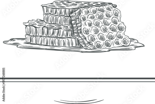 Honeycomb pieces illustrating natural sweet beekeeping product