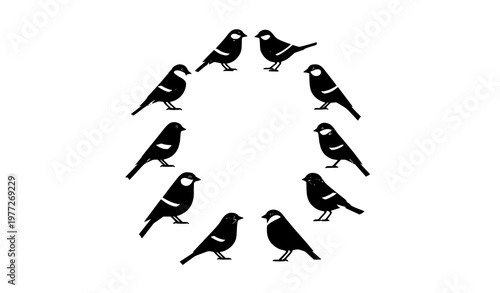 Modern flat birds vector set in circular layout with stylized species isolated on white