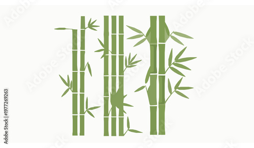 Bamboo vector illustration set with green stalks and leaves isolated on white background