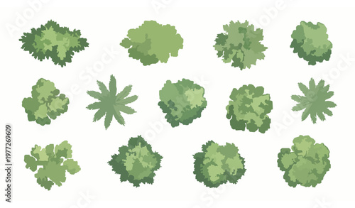 Watercolor top view trees and plants set with natural green foliage for landscape illustration