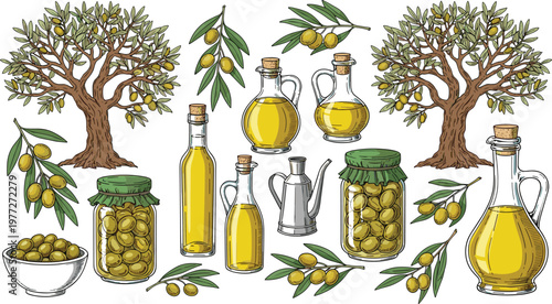 Olive Oil Illustration Set with Tree Branch Jars Bottles and Fruits for Organic Food Mediterranean Agriculture and Natural Ingredient Collection